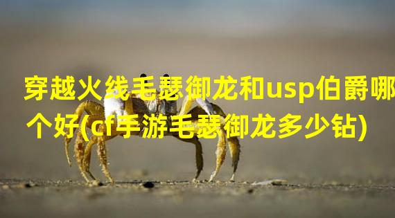 穿越火线毛瑟御龙和usp伯爵哪个好(cf手游毛瑟御龙多少钻)