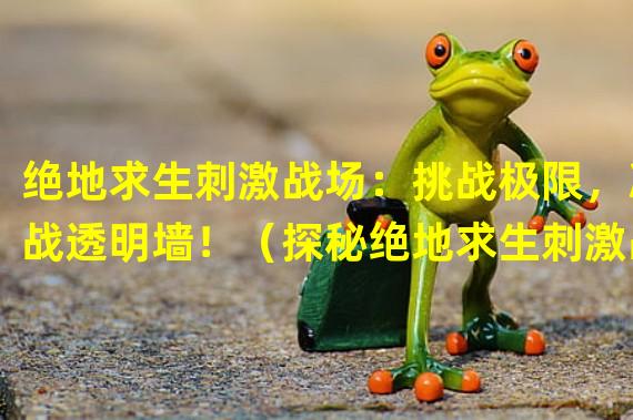 绝地求生刺激战场：挑战极限，决战透明墙！（探秘绝地求生刺激战场：最强玩家技巧大揭密！）