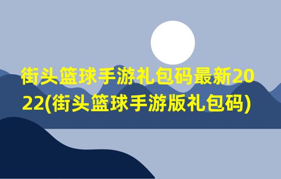 街头篮球手游礼包码最新2022(街头篮球手游版礼包码)