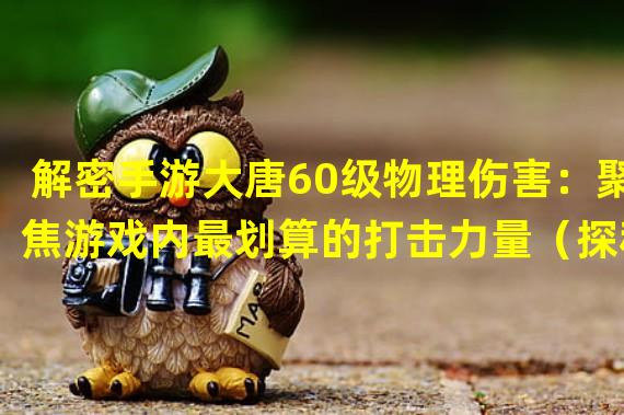 解密手游大唐60级物理伤害：聚焦游戏内最划算的打击力量（探秘手游大唐60级物理伤害：如何在赢得游戏同时提档升级经济？）