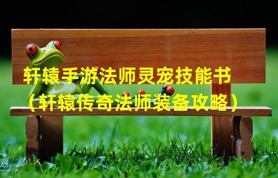 轩辕手游法师灵宠技能书（轩辕传奇法师装备攻略）