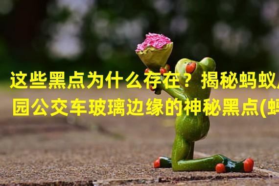 这些黑点为什么存在？揭秘蚂蚁庄园公交车玻璃边缘的神秘黑点(蚂蚁庄园公交车玻璃边缘黑点有何作用？揭秘这些小小细节背后的玄机)