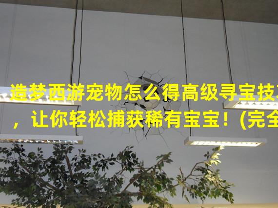 造梦西游宠物怎么得高级寻宝技巧，让你轻松捕获稀有宝宝！(完全攻略分享)