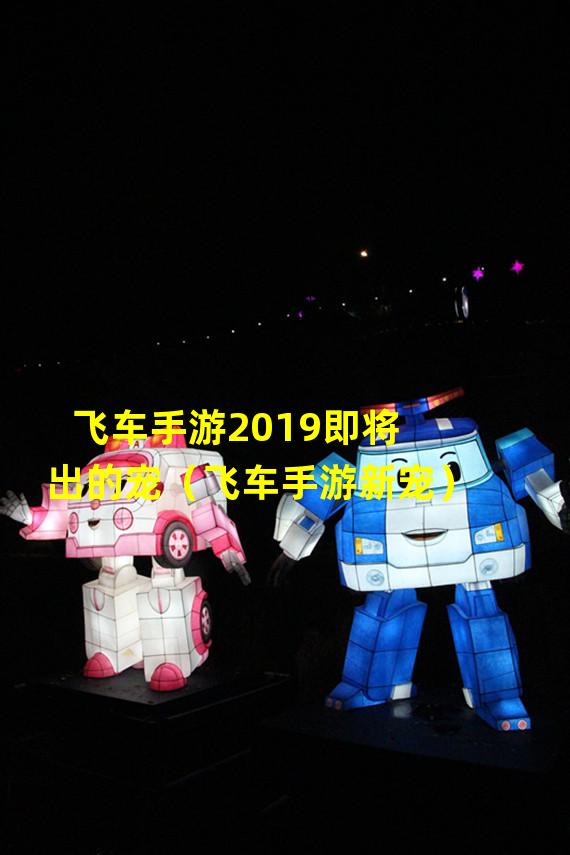 飞车手游2019即将出的宠（飞车手游新宠）